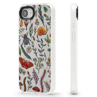 Insectes et fleurs sauvages