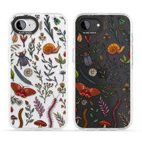 Insectes et fleurs sauvages