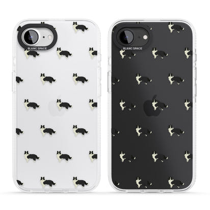 Border Collie Pattern Clear