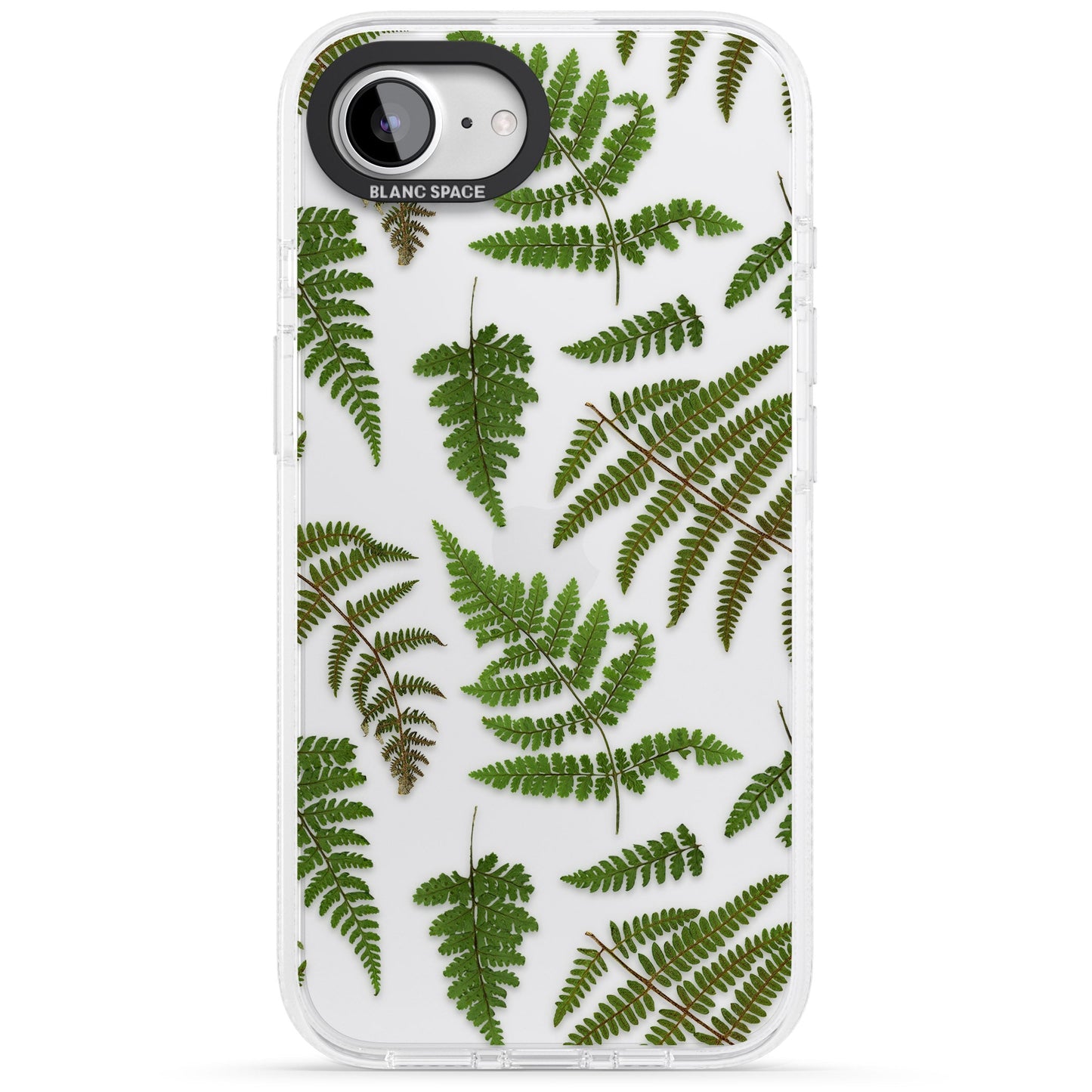 Leafy Ferns