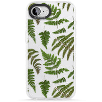 Leafy Ferns