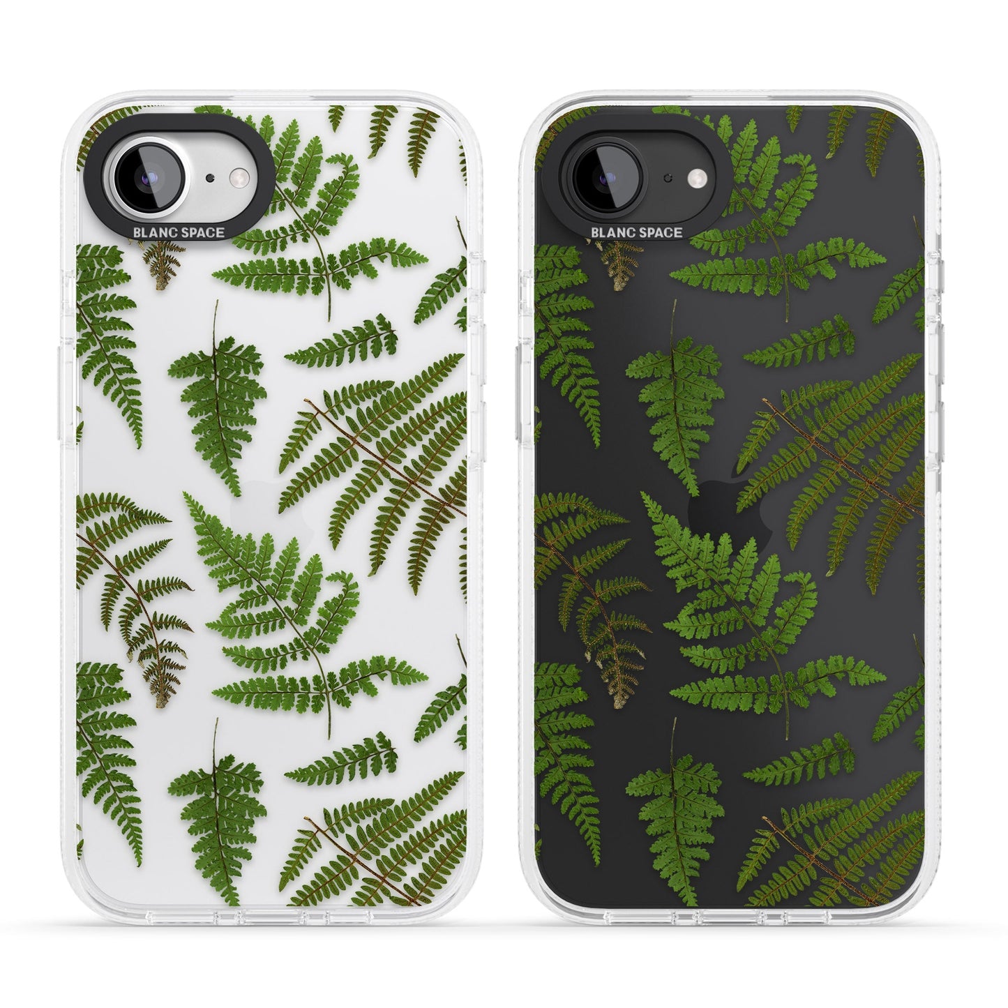 Leafy Ferns