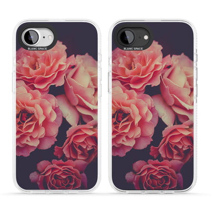 Mitternachtsrosenblüte