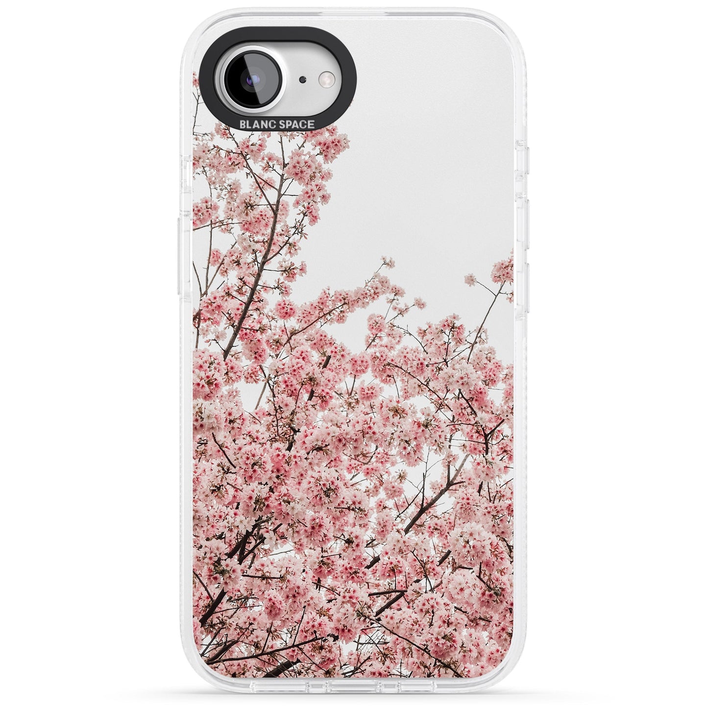 Cherry Blossom Bloom