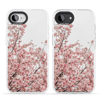 Cherry Blossom Bloom
