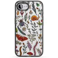 Insectes et fleurs sauvages