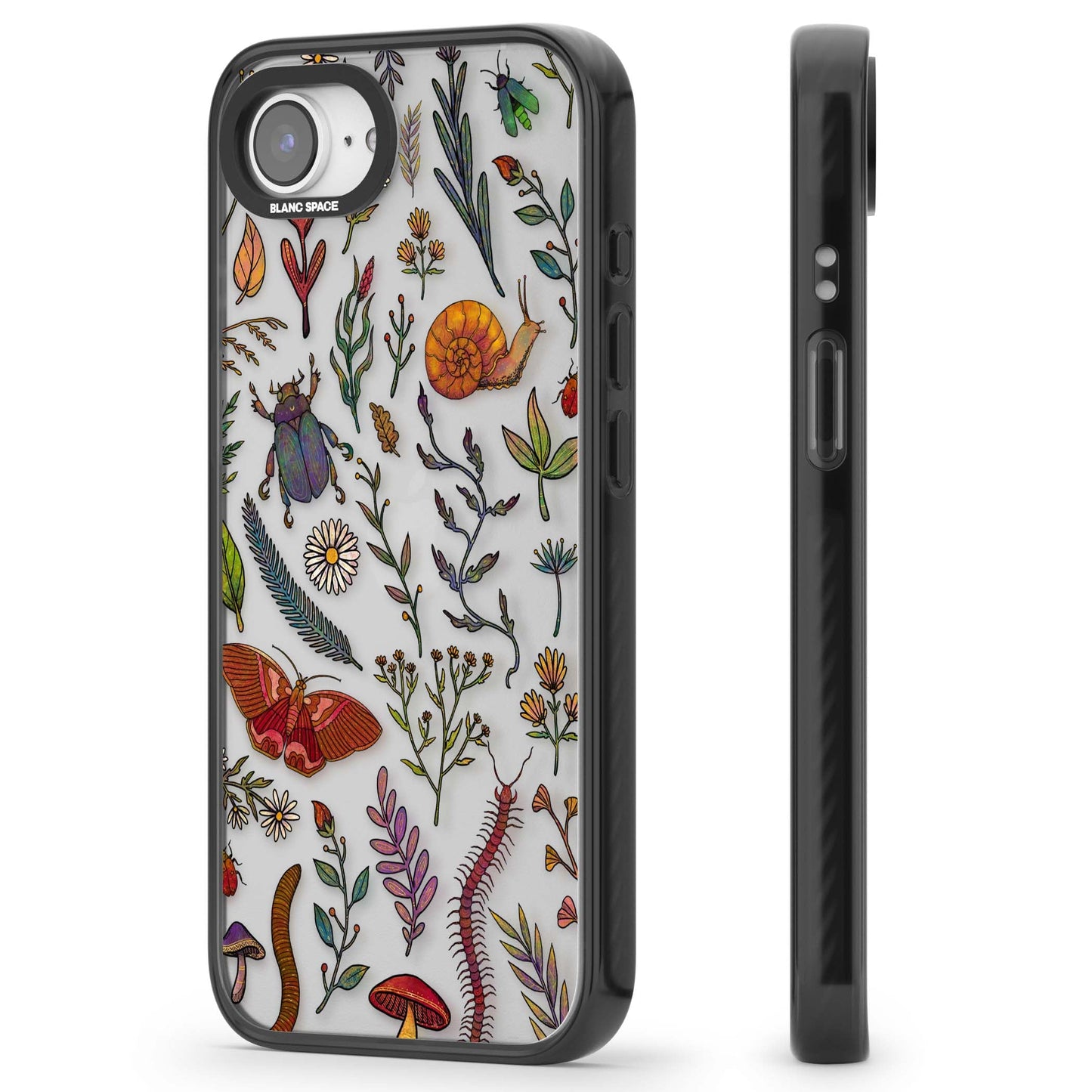 Insectes et fleurs sauvages