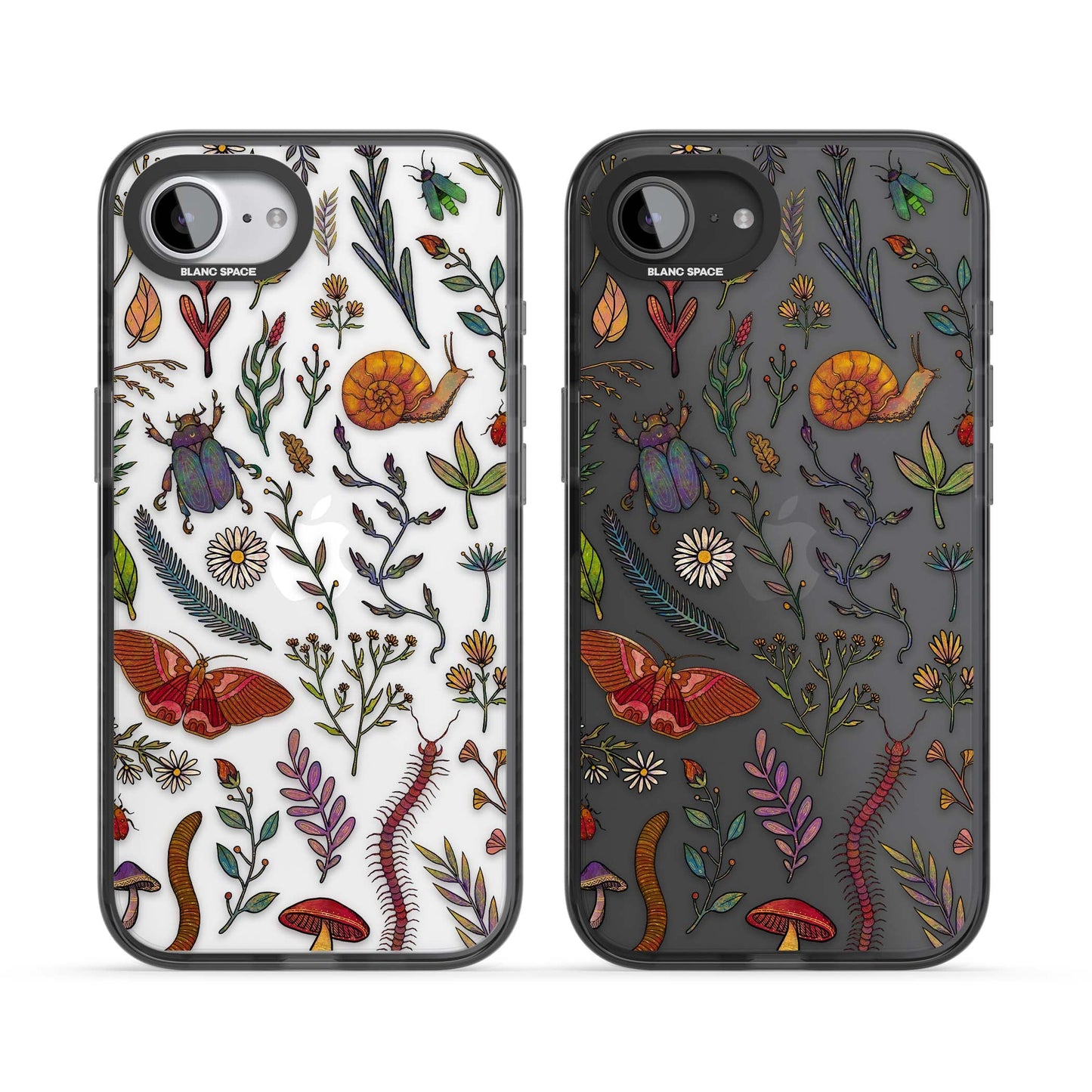 Insectes et fleurs sauvages