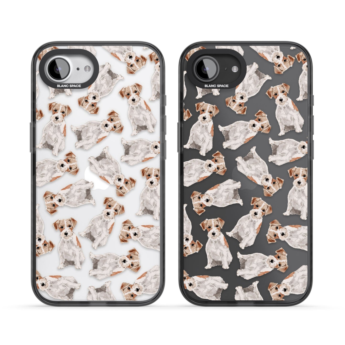 Jack Russell à poil dur fantaisiste