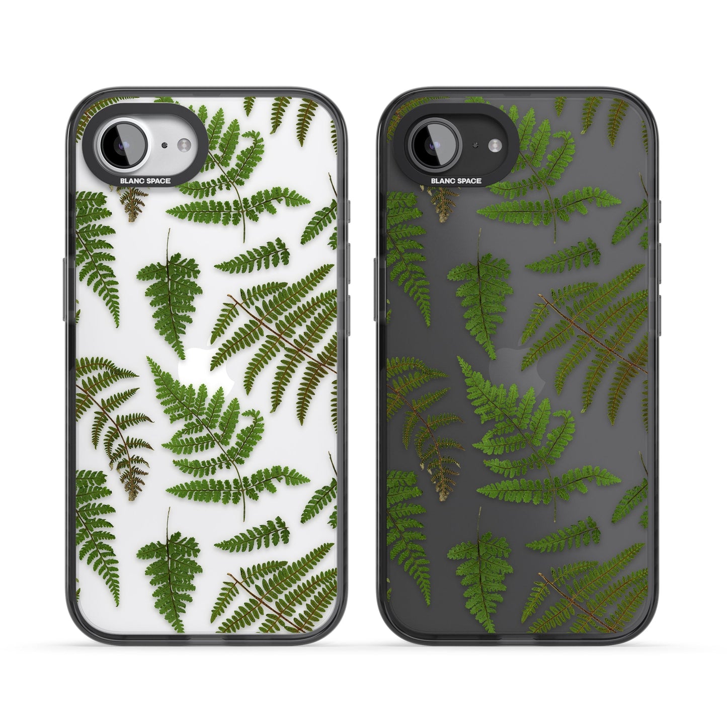 Leafy Ferns