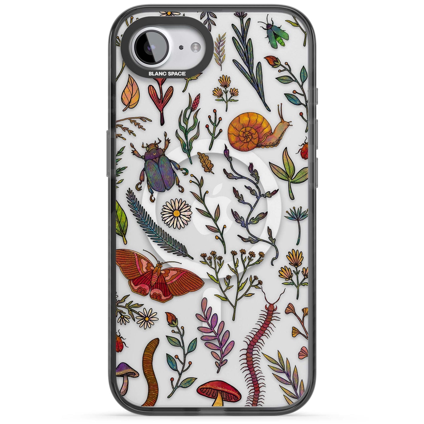 Insectes et fleurs sauvages