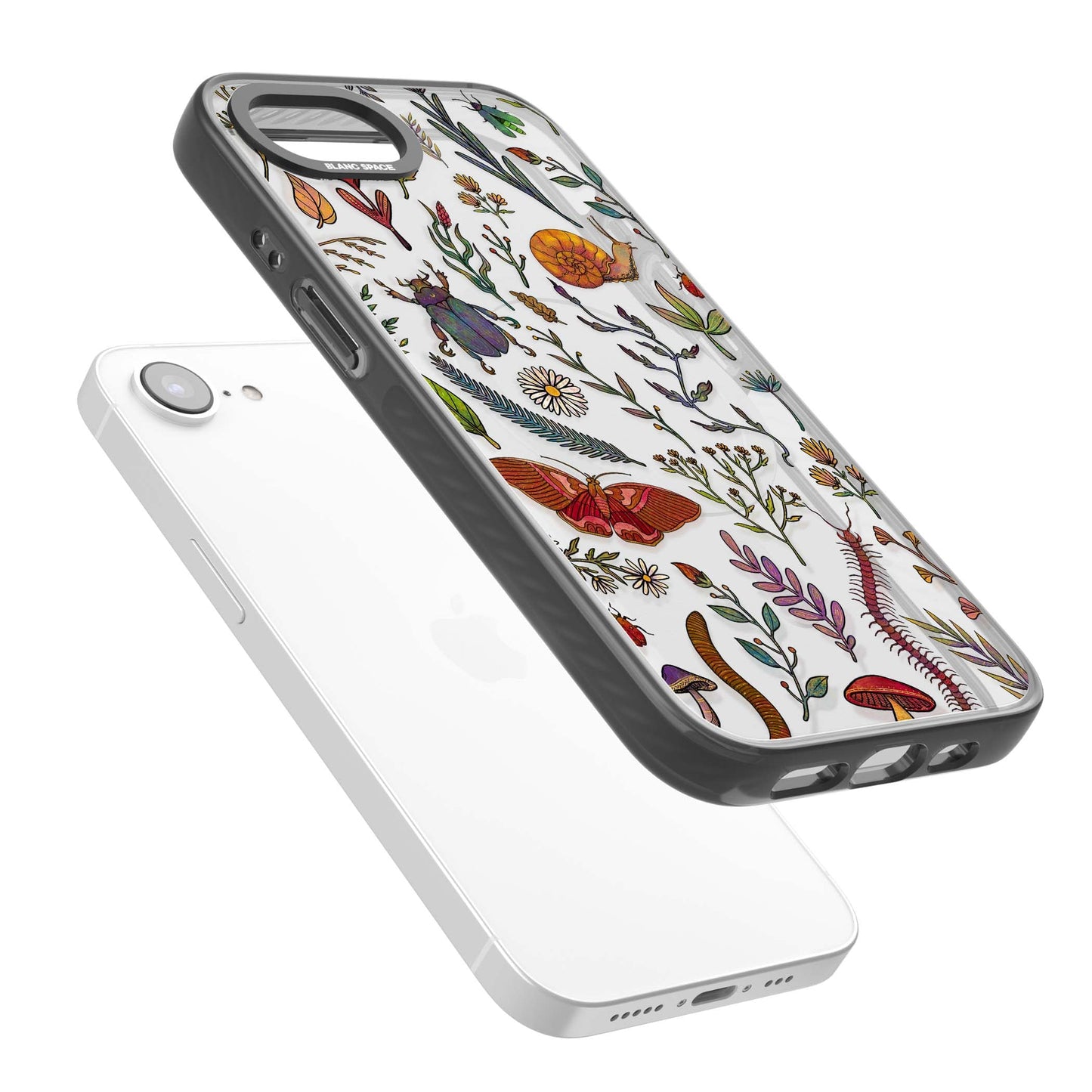 Insectes et fleurs sauvages