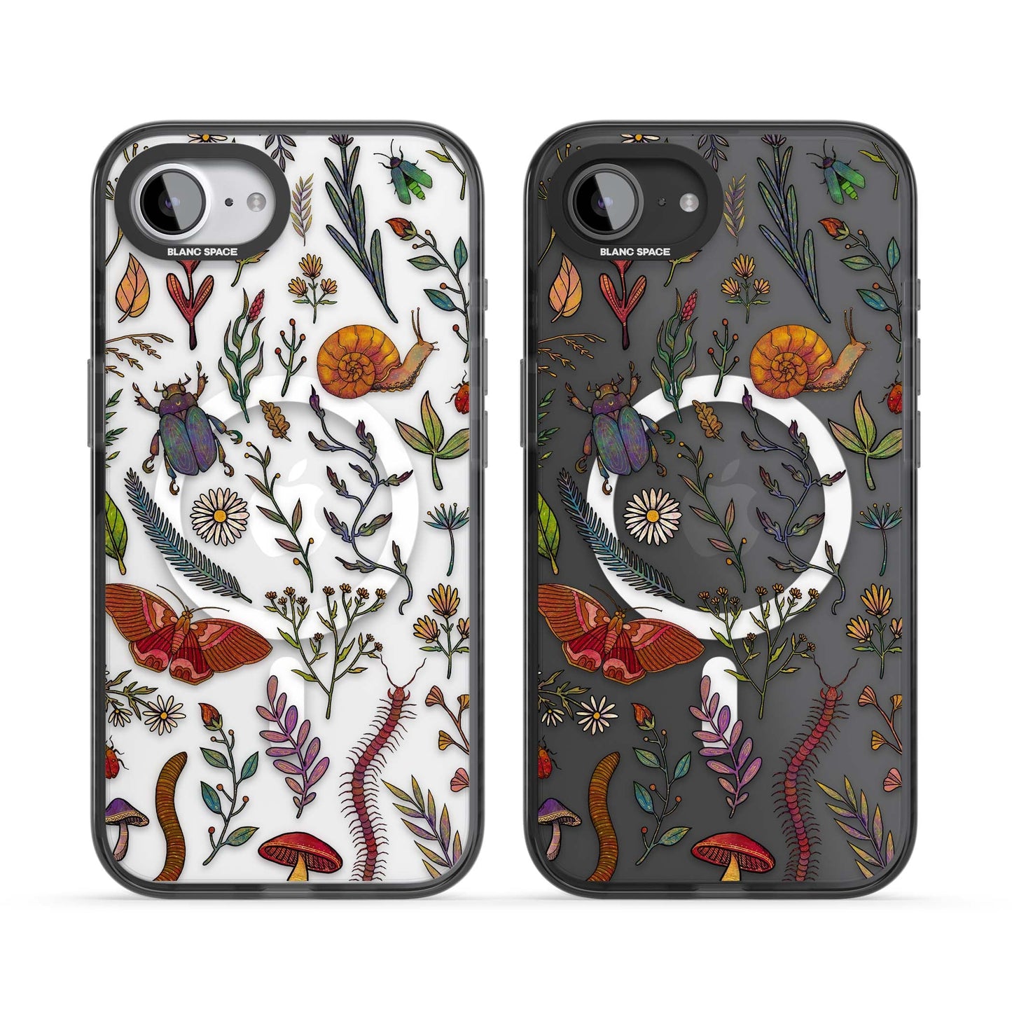 Insectes et fleurs sauvages