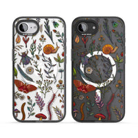 Insectes et fleurs sauvages