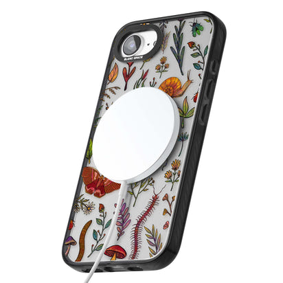 Insectes et fleurs sauvages