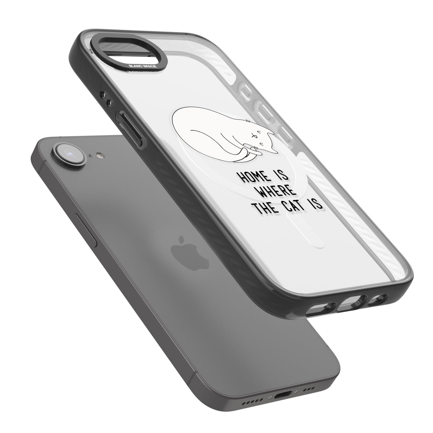 Home Is Where The Cat Is