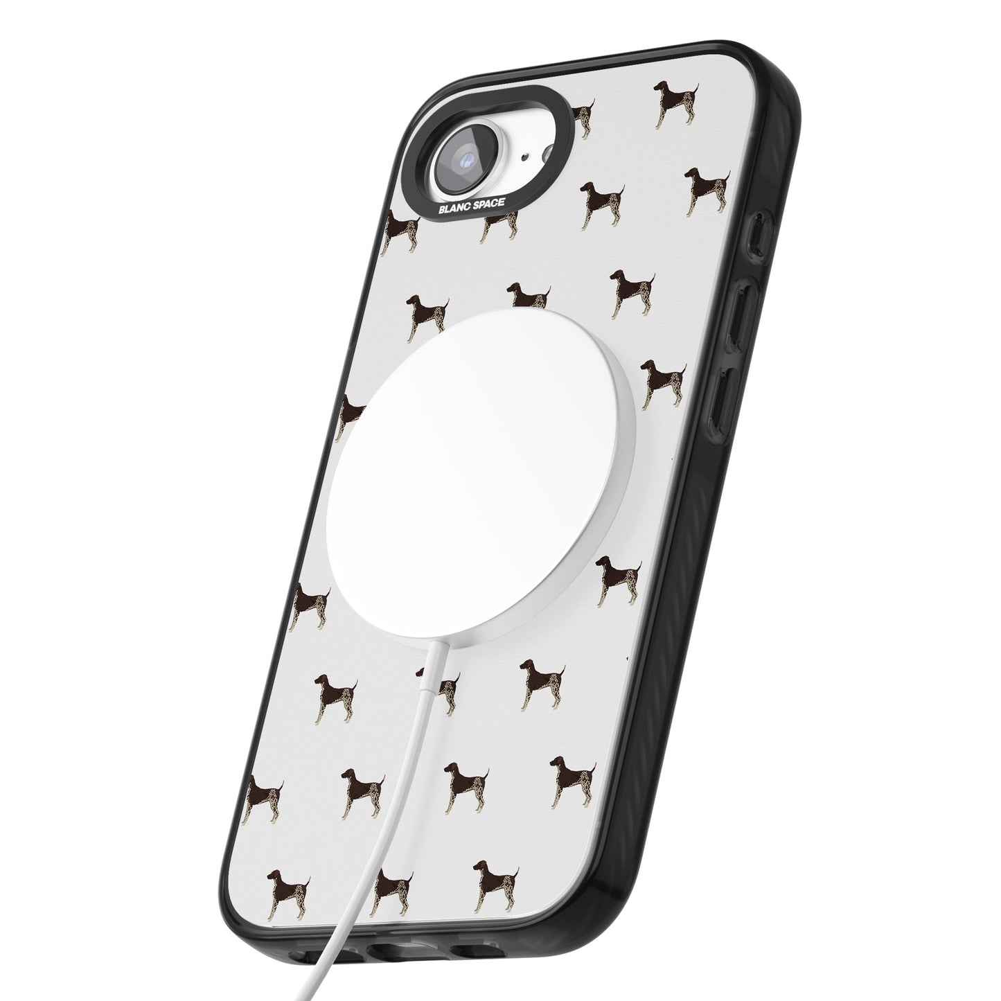 Modèle de braque allemand à poil court