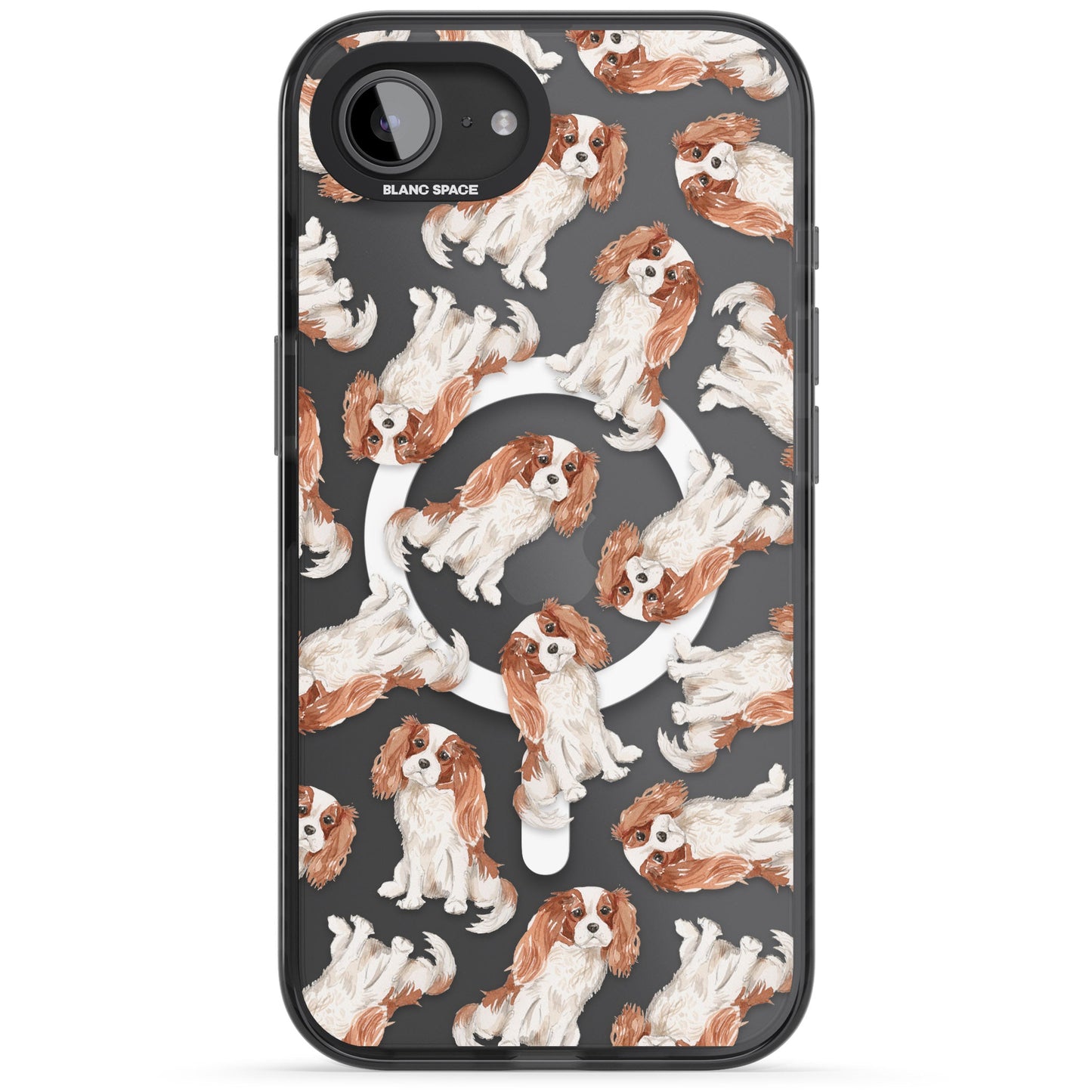 Cavalier King Charles Spaniel