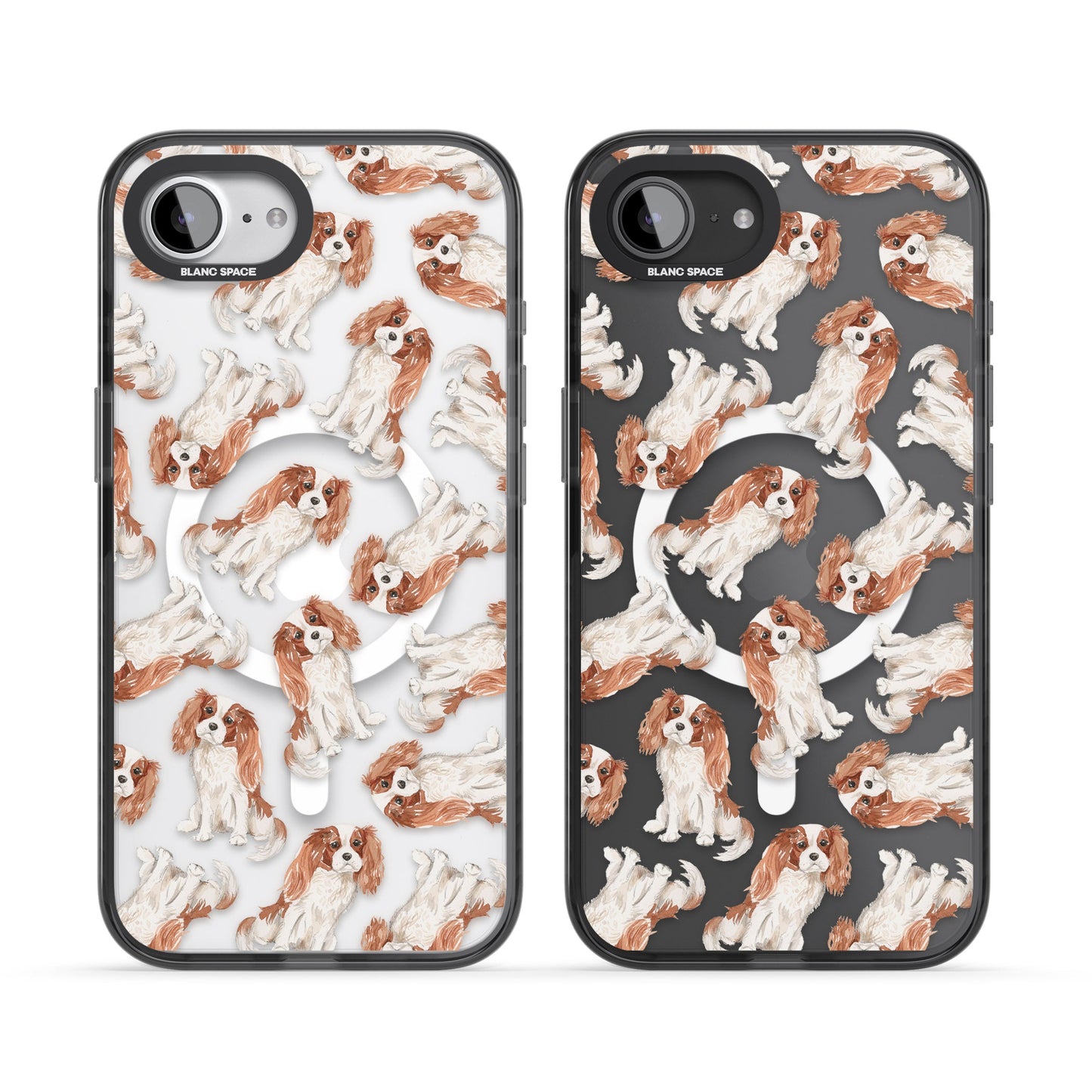 Cavalier King Charles Spaniel