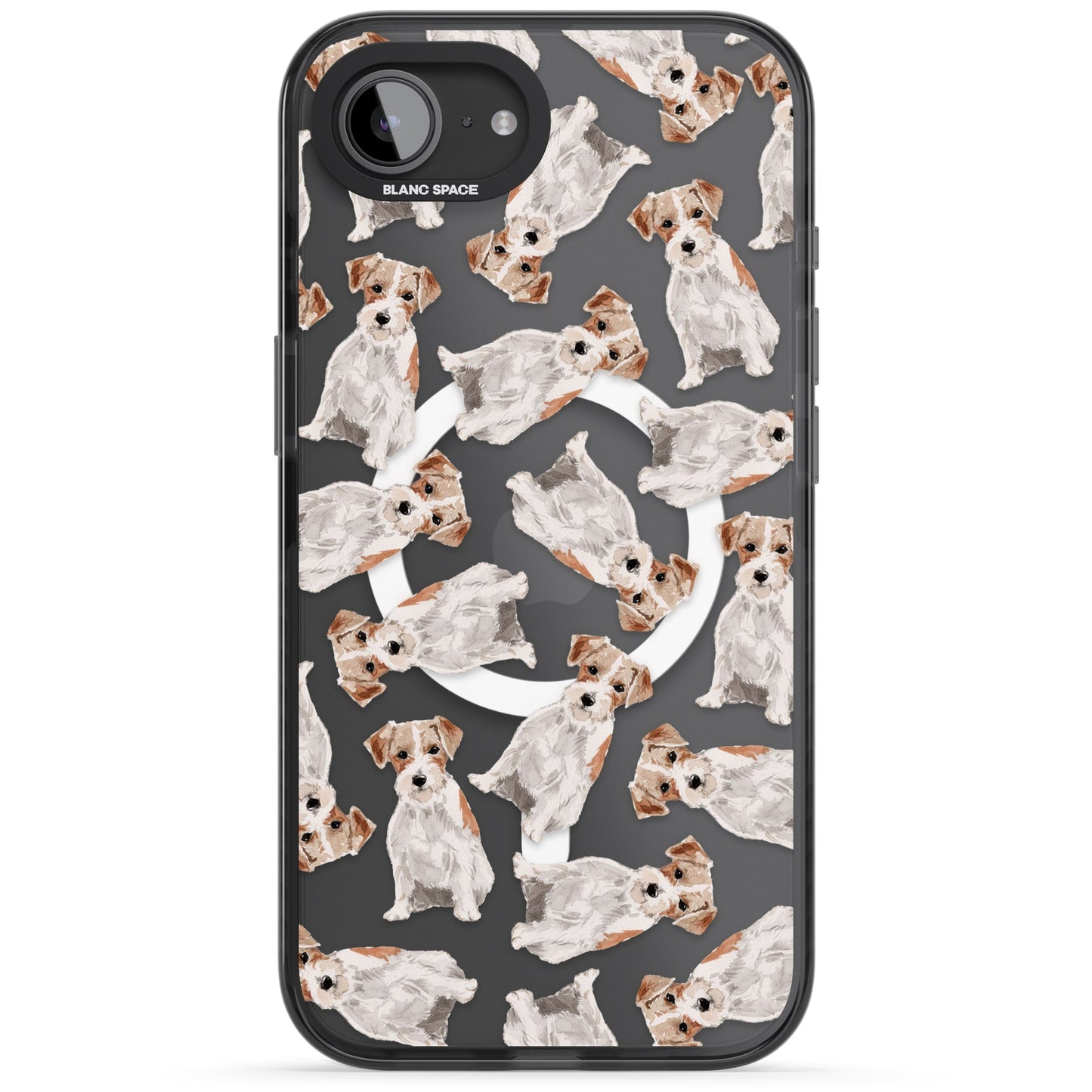 Jack Russell à poil dur fantaisiste