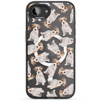 Jack Russell à poil dur fantaisiste