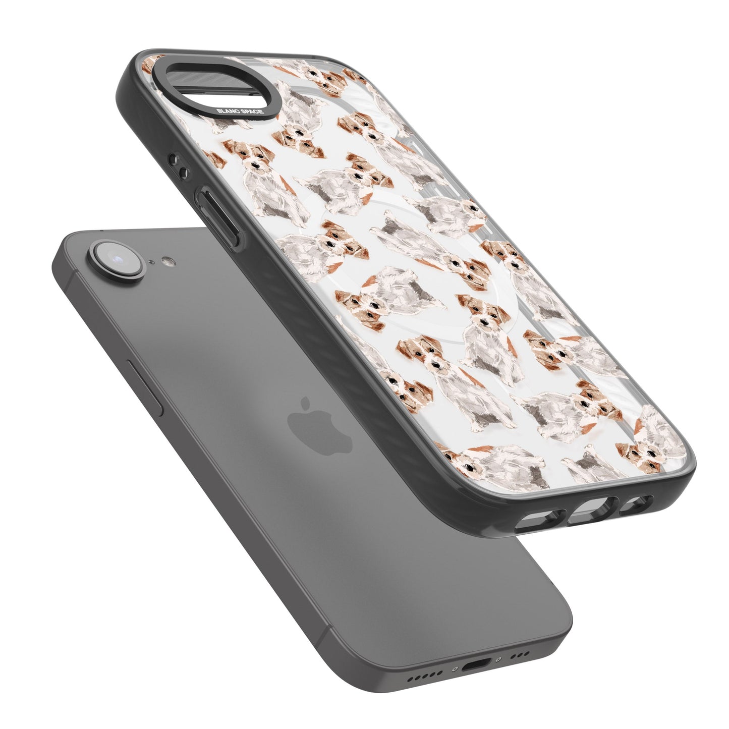 Jack Russell à poil dur fantaisiste