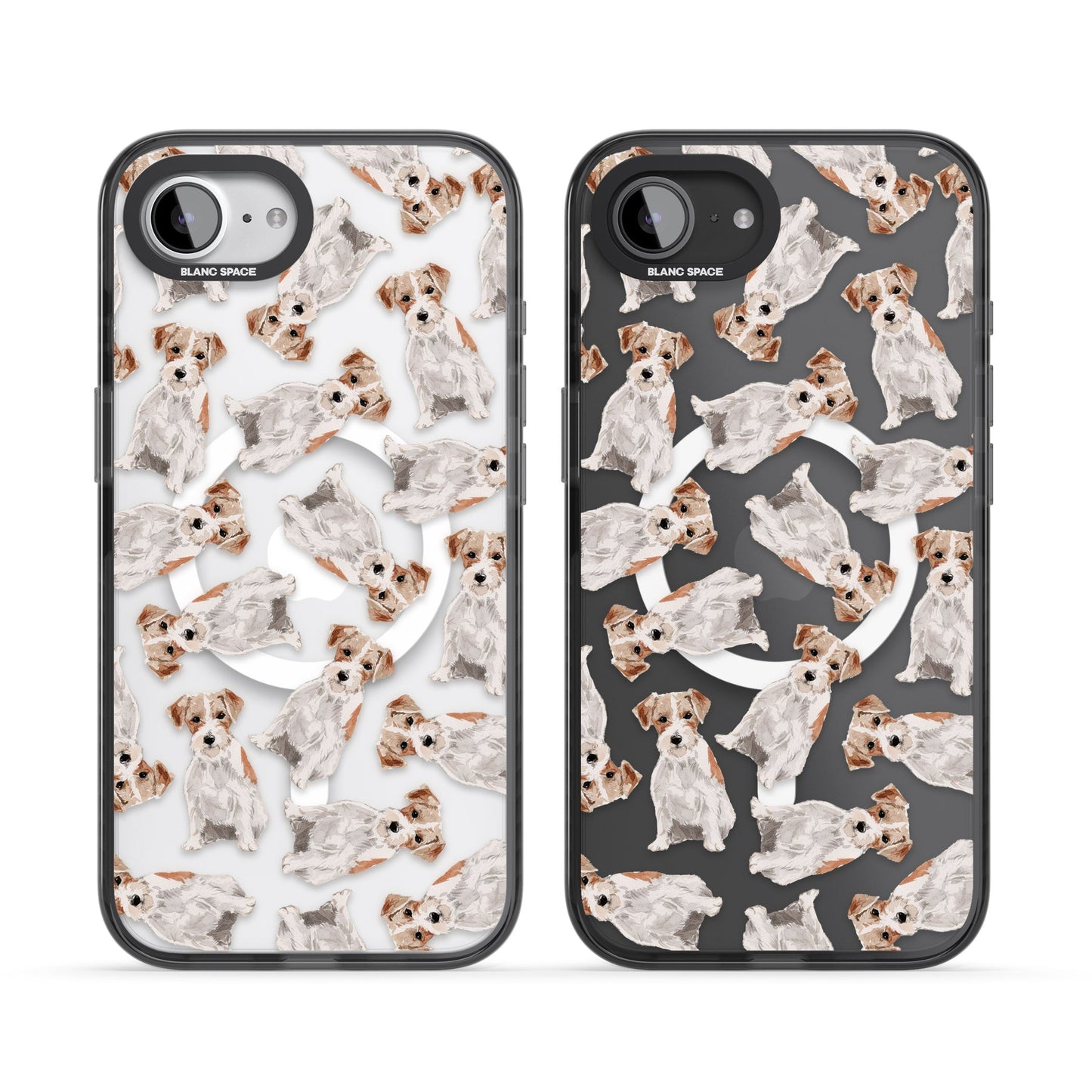 Jack Russell à poil dur fantaisiste