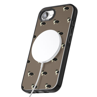 Border Collie Pattern Classic