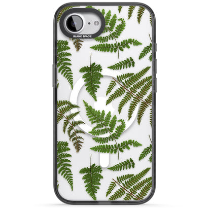 Leafy Ferns