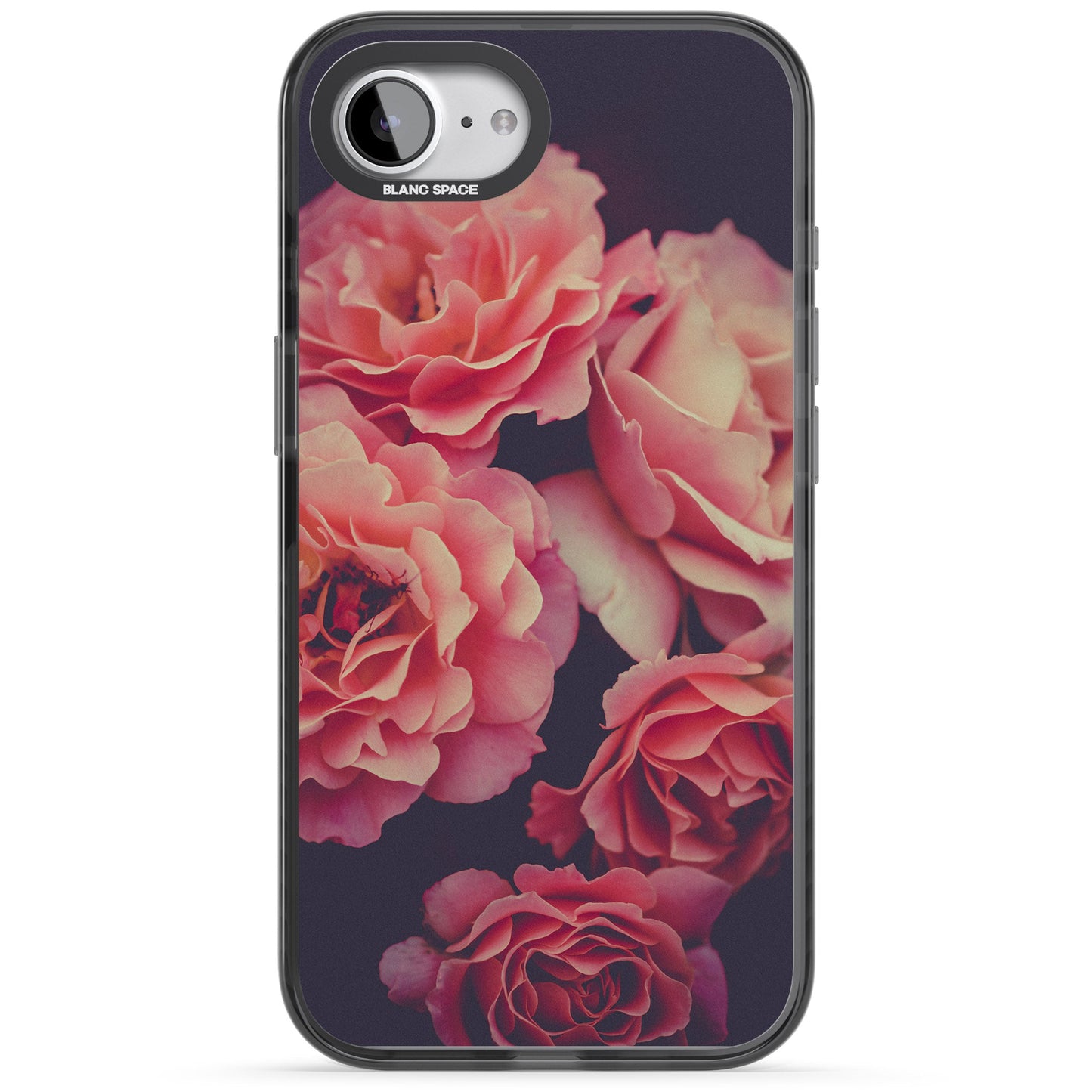 Mitternachtsrosenblüte