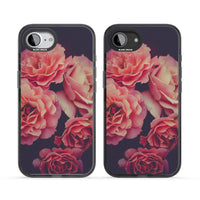 Mitternachtsrosenblüte