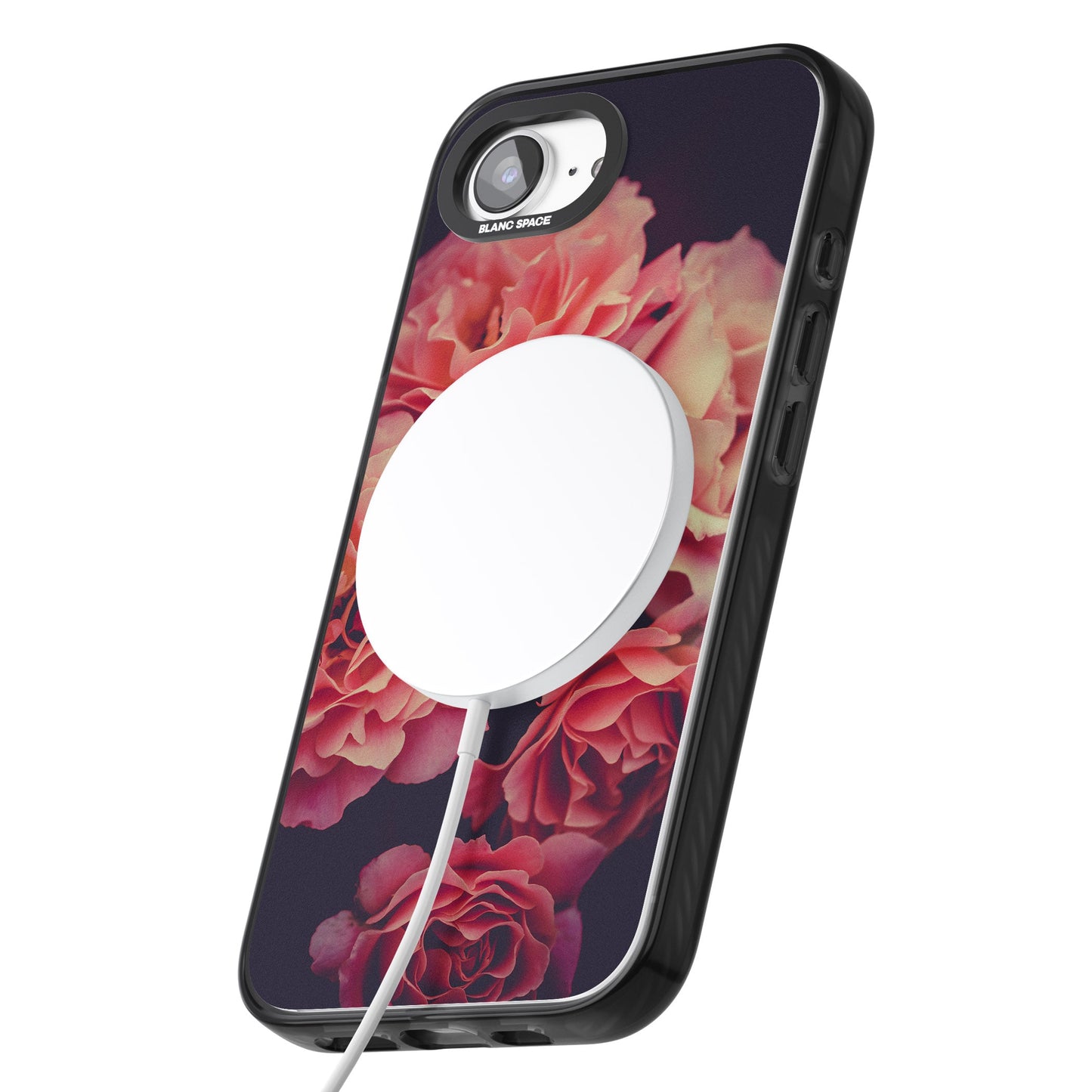 Mitternachtsrosenblüte