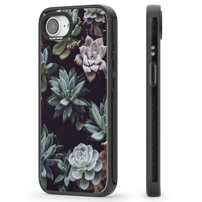 Succulent Bloom Mixed