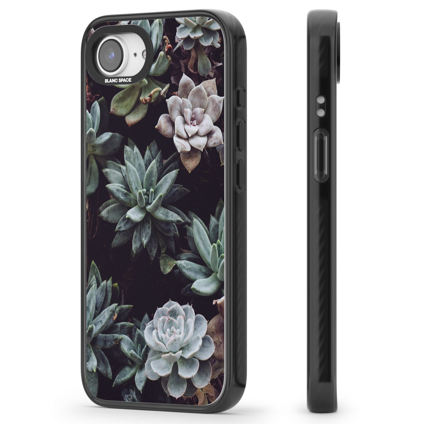 Succulent Bloom Mixed