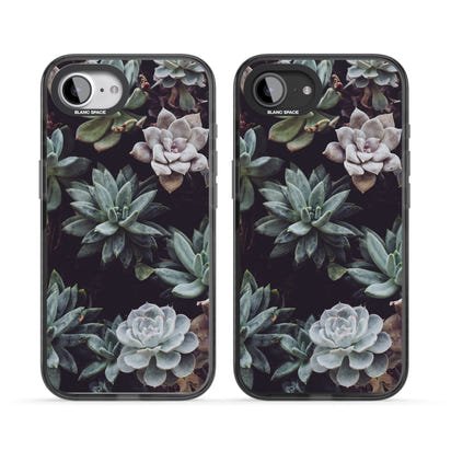 Succulent Bloom Mixed