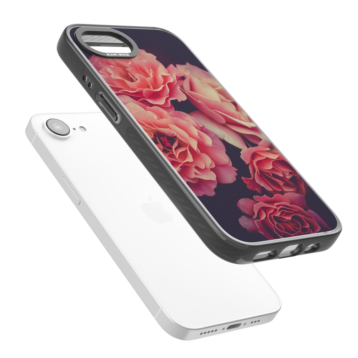 Mitternachtsrosenblüte