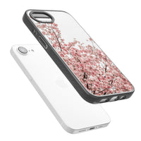 Cherry Blossom Bloom