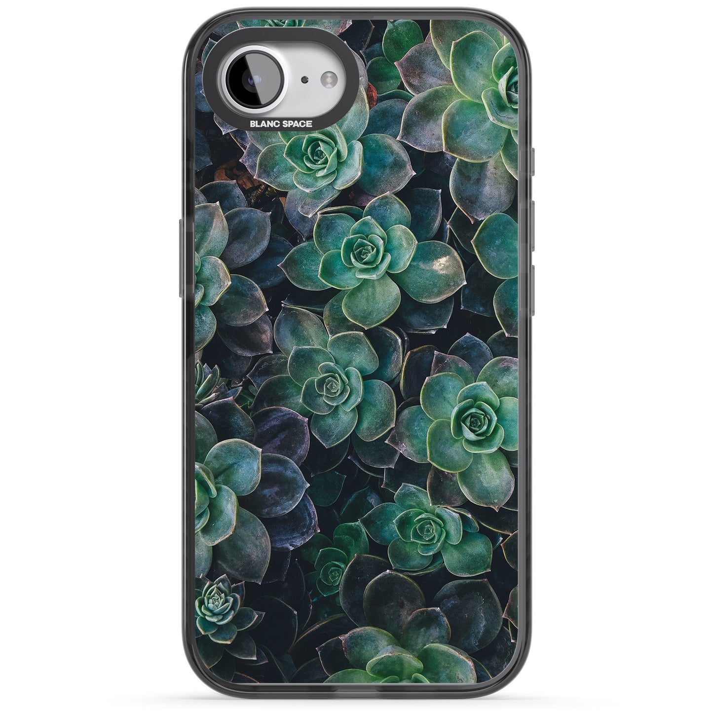 Succulent Bloom Botanical