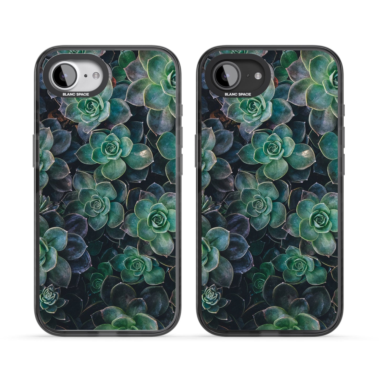 Succulent Bloom Botanical