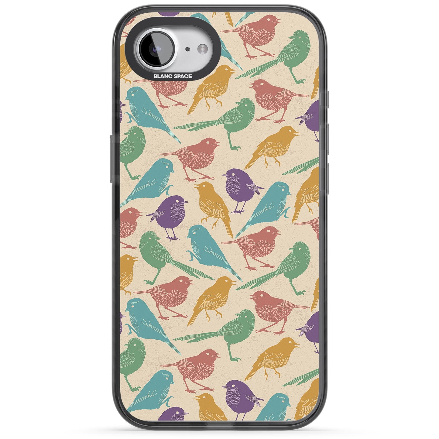 Colorful Feathered Friends