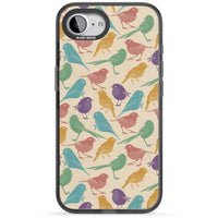 Colorful Feathered Friends