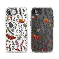 Insectes et fleurs sauvages