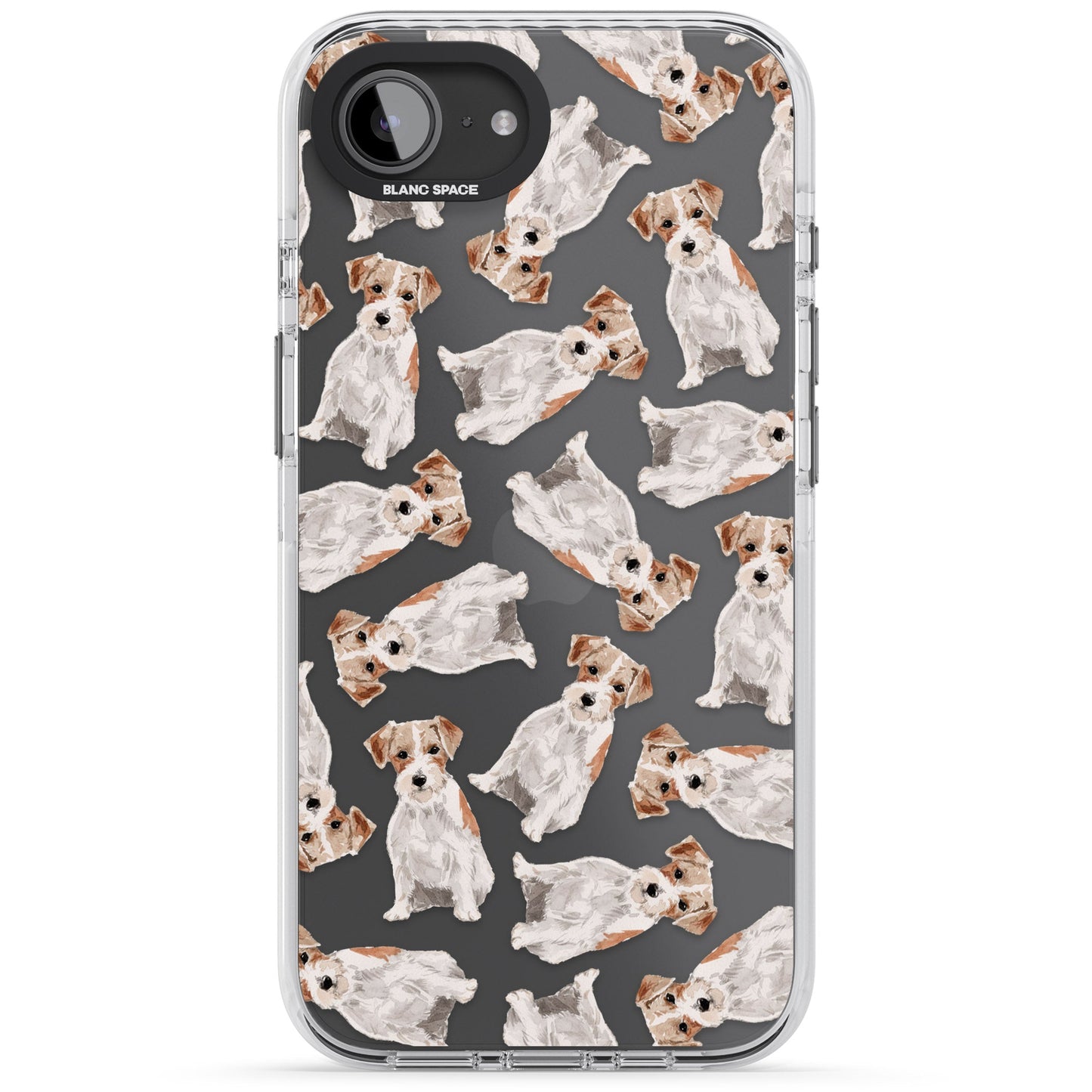 Jack Russell à poil dur fantaisiste