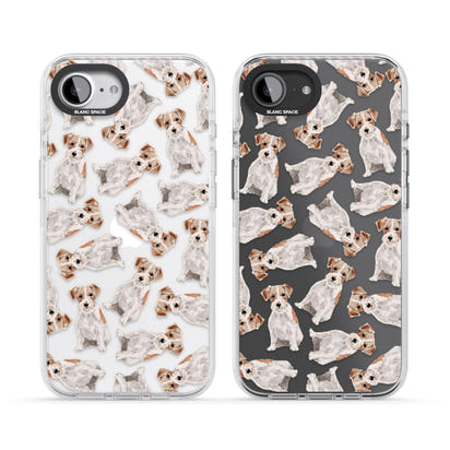 Jack Russell à poil dur fantaisiste