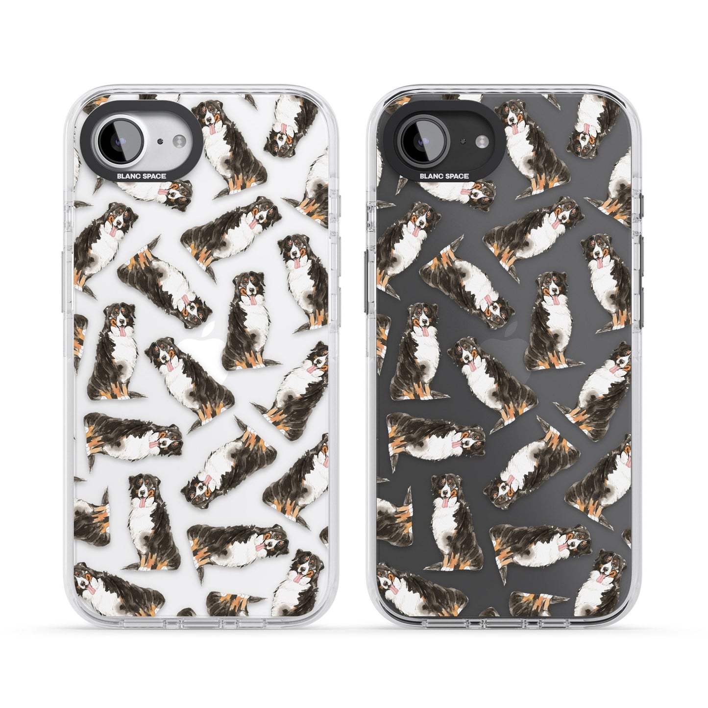 Motif du Bouvier Bernois