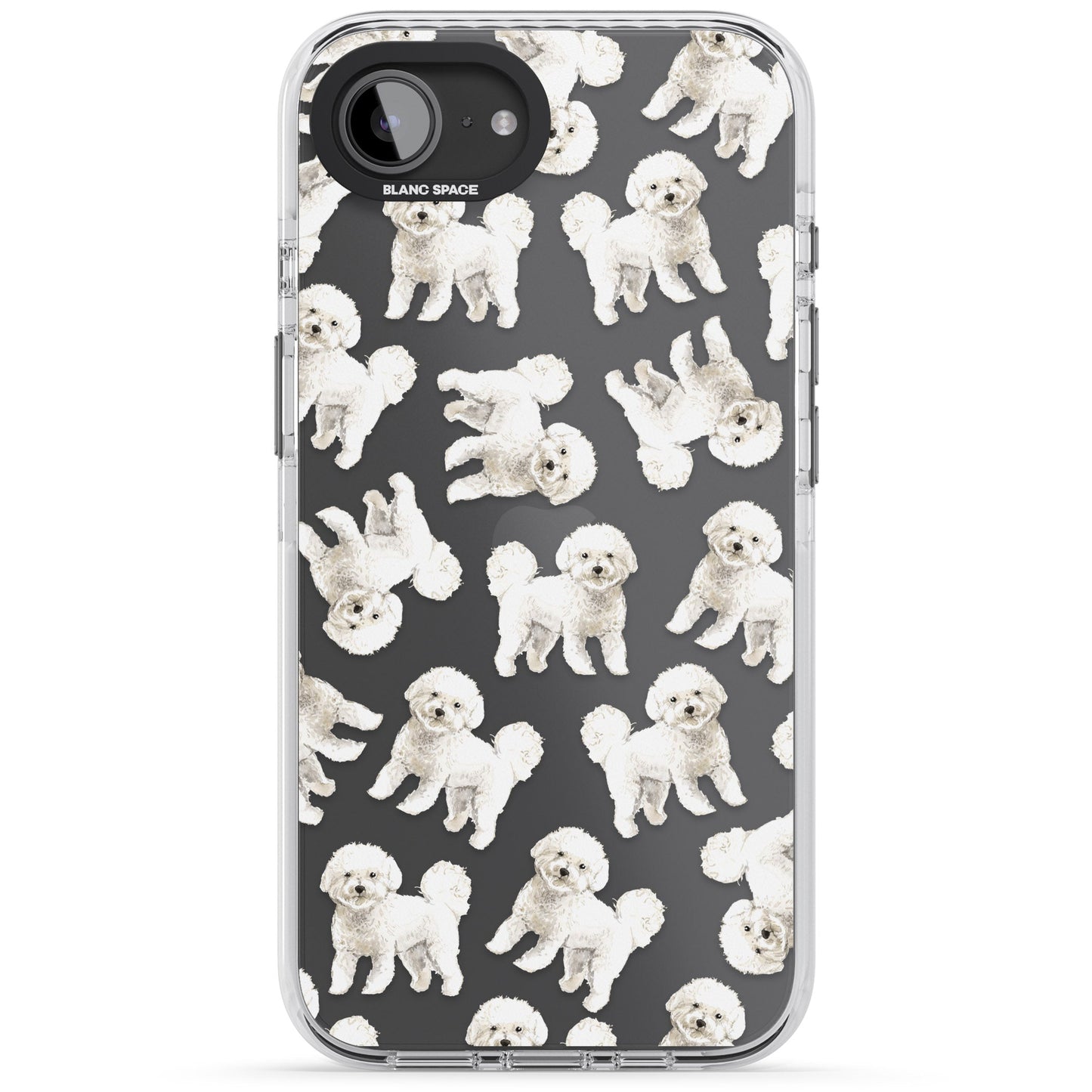 Bichon frisé aquarelle