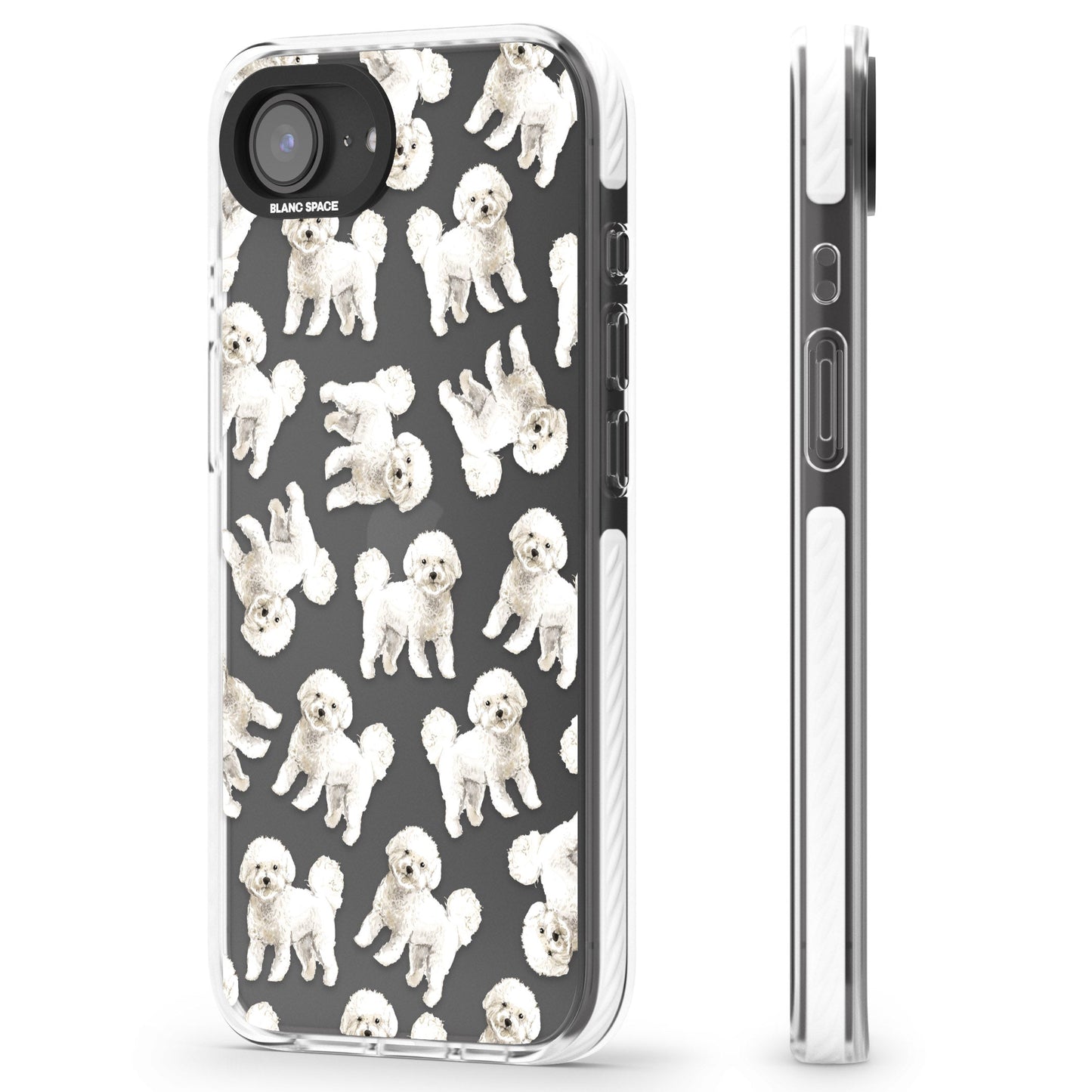 Bichon frisé aquarelle