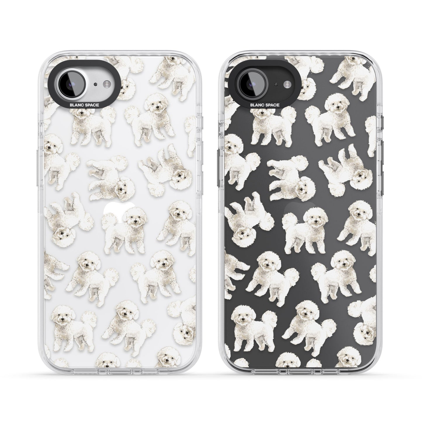 Bichon frisé aquarelle