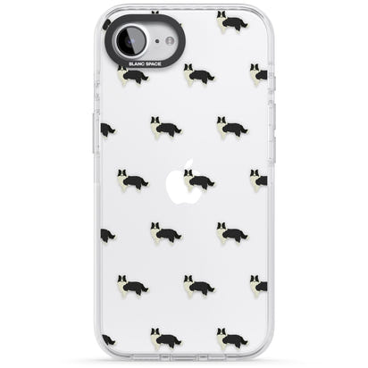 Border Collie Pattern Clear
