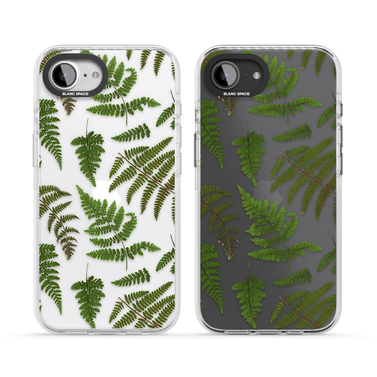 Leafy Ferns